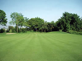 PANYA INDRA PUTTS ITSELF INTO LEAD WITH EXCITING GREENS RENOVATION