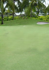 TRADITION OF EXCELLENCE IN KEEPING THE GREEN (Part One)