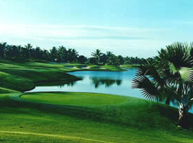 QUALITY GOLF DRIVES TO THE FORE IN ASIA ECONOMIC OVERVIEW