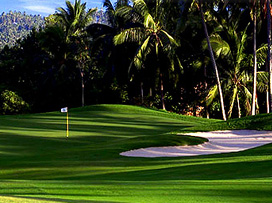 THE ROLE OF THE CONSULTANT