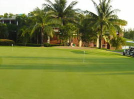 TRADITION OF EXCELLENCE IN KEEPING THE GREEN (Part Two)